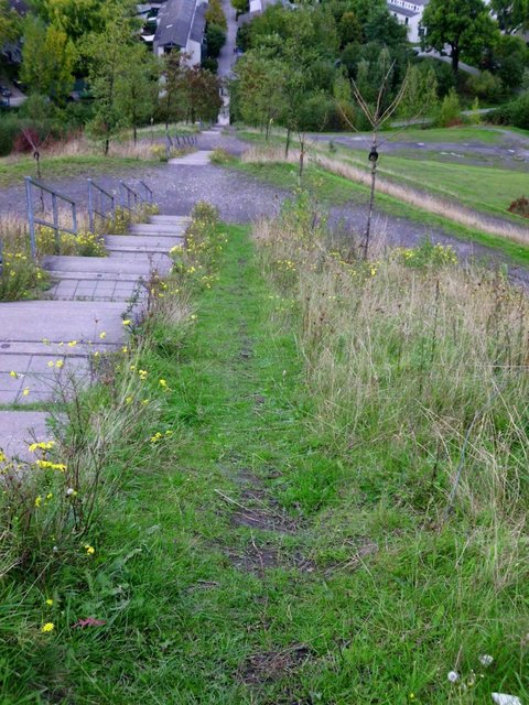 Weg hinunter... nicht immer schön, nicht immer richtig, oft gefährlich und doch auch mal´ nötig, um wieder HOCHZUKRABBELN...