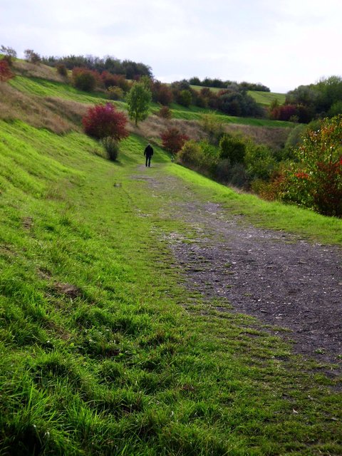 Einsam ... manchmal muss ein Weg vielleicht auch einsam sein...