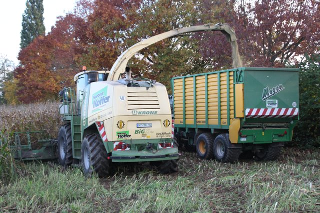 ...weiter geht es.....