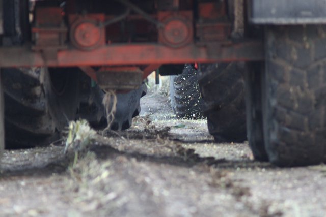 wo geht es hin .....