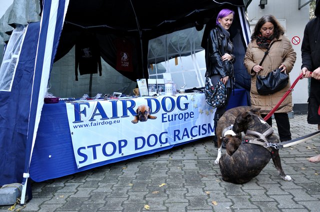 Herbstfest 2013 im Tierheim Gelsenkirchen.Foto:Kurt Gritzan