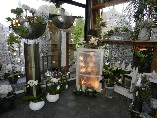 Dekotipps für Zuhause. Fotos: Petra Pospiech