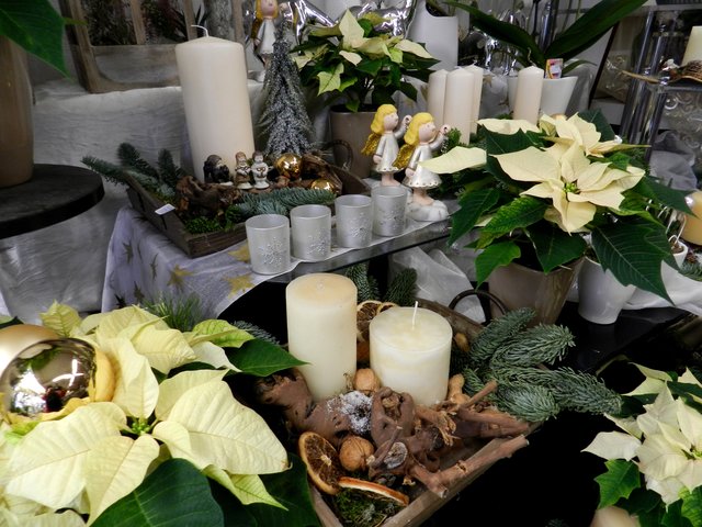 Dekotipps für Zuhause. Fotos: Petra Pospiech