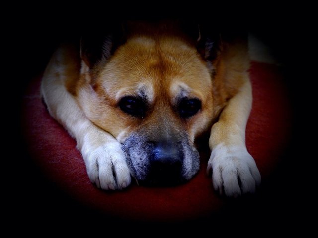 Wann kommt denn endlich das Christkind