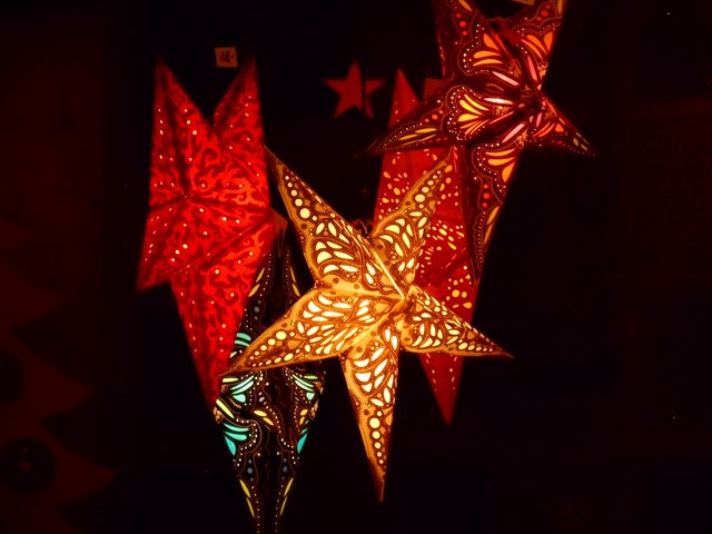 Leuchtende Sterne... am Wittringer Schloß zu Gladbeck...