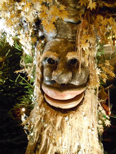 Ein Baum, ein Märchen-Wald... gesehen in Dortmund...