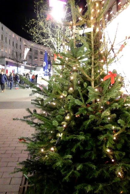 Bäume auch auf dem Markt in Bochum...