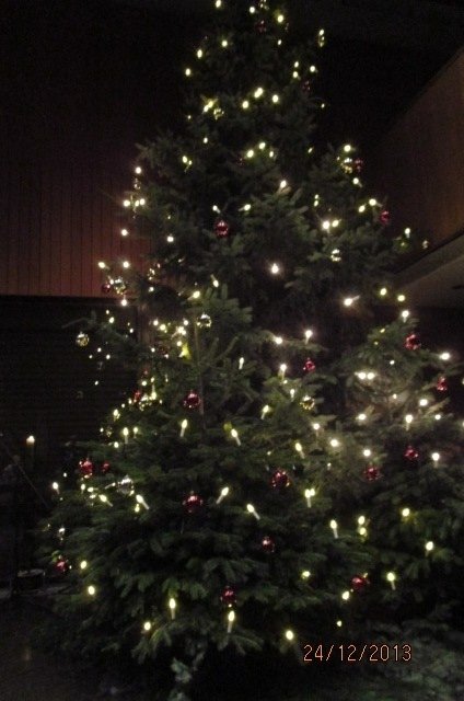 Kirchen BAUM... in Essen...