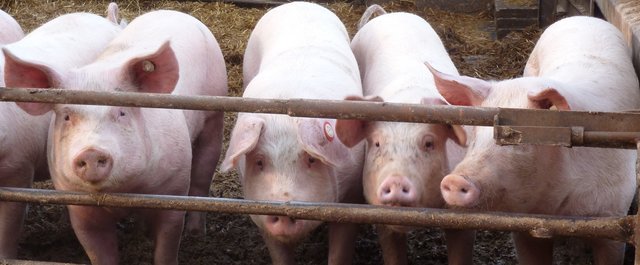 Wir wünschen ein frohes Neues Jahr 2014 | Foto: Marita Gerwin