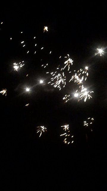 Silvester-menü to go: abhol- und lieferservices Silvester 2013 - Essen-Werden