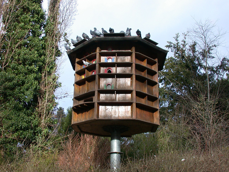 Der Versuch einer Lösung ist der Taubenturm im Lutherpark, der 2000 eröffnet wurde. Wie man sieht, steht er noch und wird auch noch gut frequentiert. (Das Foto ist vom 2. Januar.)