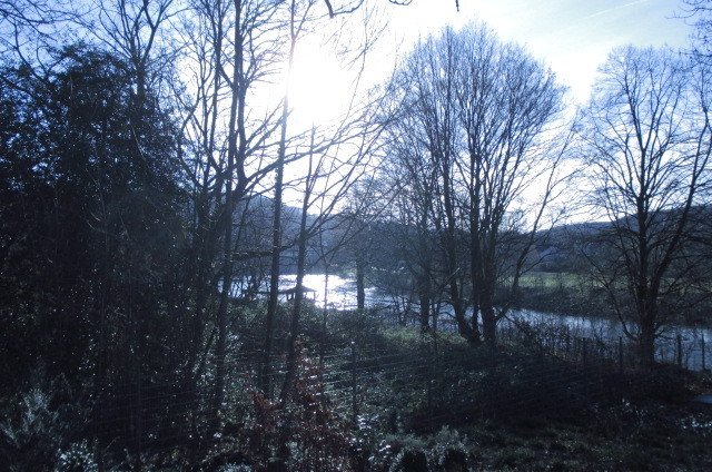 Kühl sieht es aus... doch ist es gar nicht sooo wirklich WINTER... an der Ruhr in Essen...