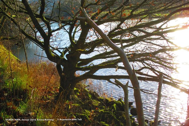 SCHÖN ist es hier... und, es kommt Einem sooo herbstlich vor, heute... Neujahr 2014