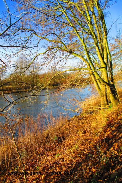 Essen-Kettwig, ein Stück der Ruhr entlang Richtung Mülheim...fast wie im Herbst, doch es ist der 01.01.2014