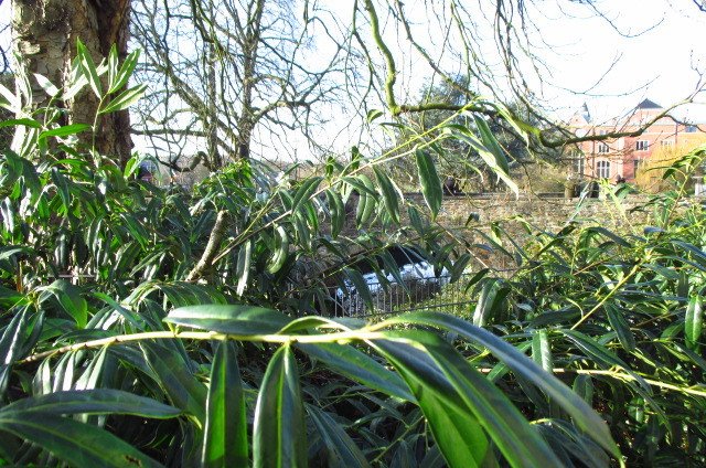 Grün, inmitten einer Großstadt...