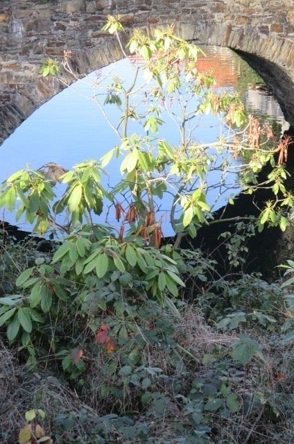 am Rande der Brücke... einfach nur schön...