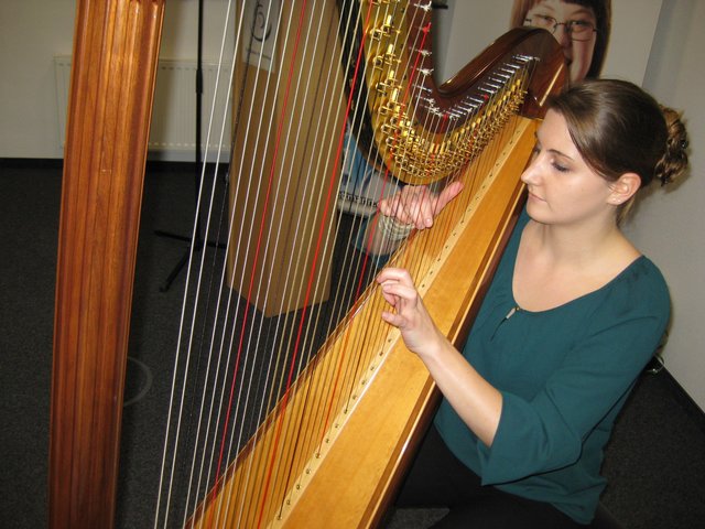 Die Harfenistin Yvonne Bonn aus Düsseldorf sorgte für die musikalische Umrahmung des Neujahrsempfangs der Lebenshilfe.