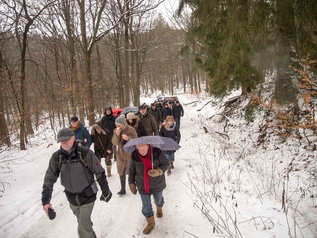 Forschen Schrittes weist der zertifizierte Wanderführer den Gartenstädtern den Weg | Foto: Meinolf Wilmes