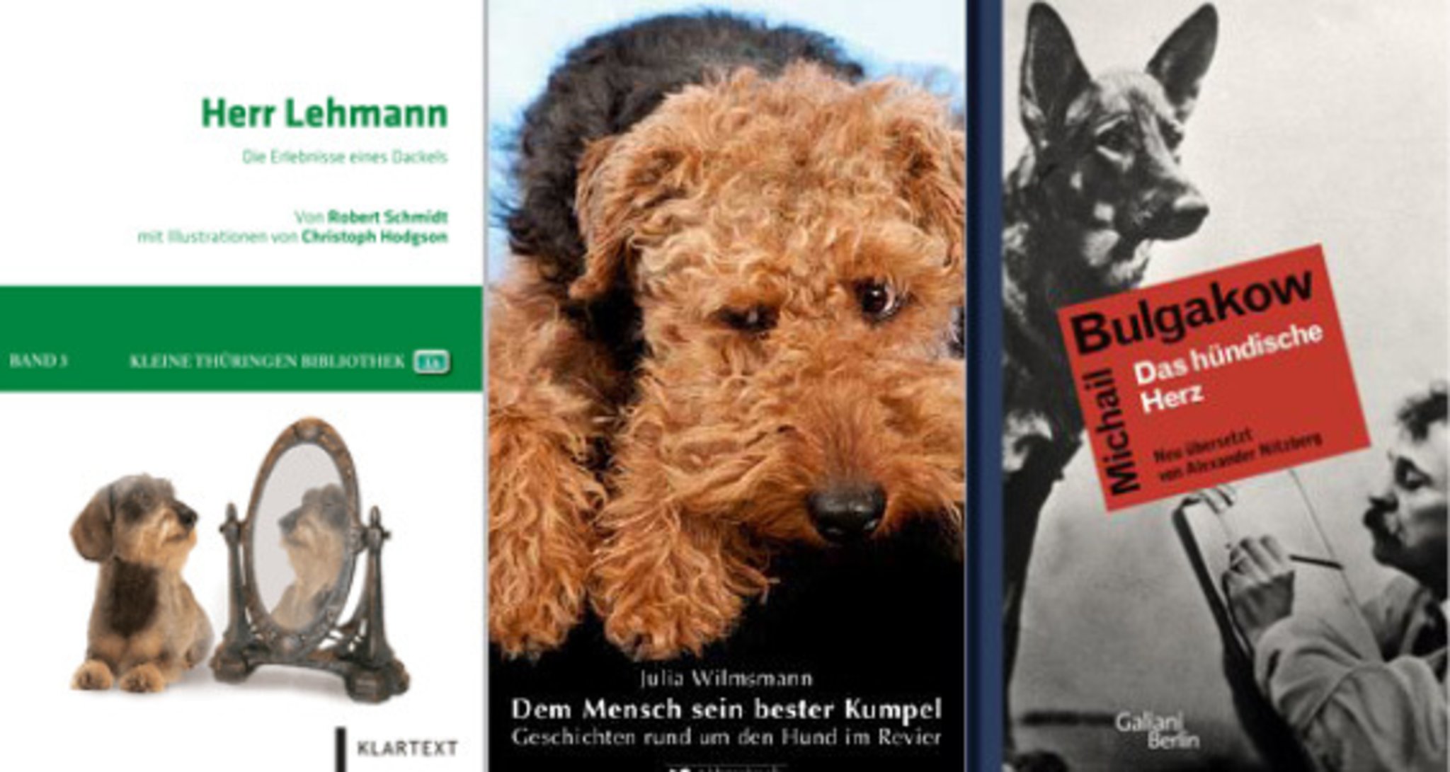 BÜCHERKOMPASS Des Menschen bester Freund EssenSüd