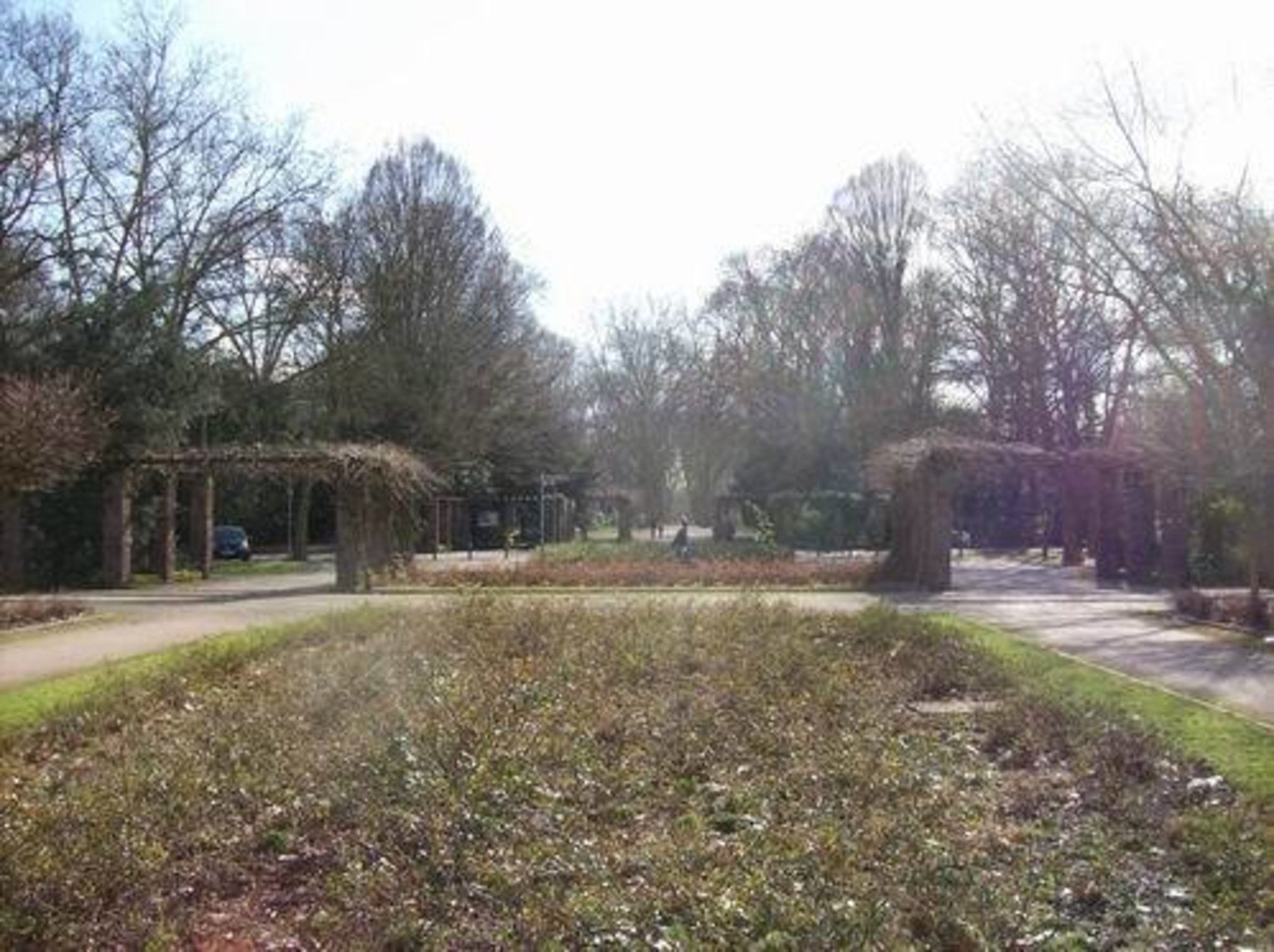 Erlebe Natur in Gelsenkirchen – Sieben der schönsten Orte in Mitte und