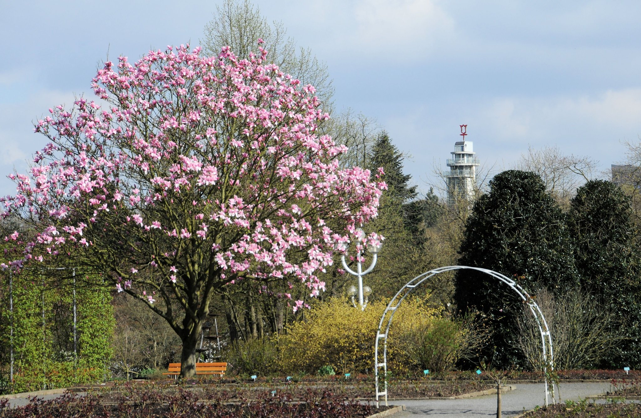 Frühling in der Gruga EssenWest