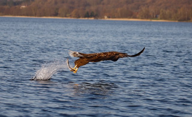 Foto: Georg Rinneberg