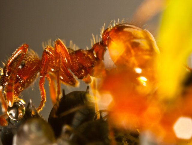 Foto: Georg Rinneberg