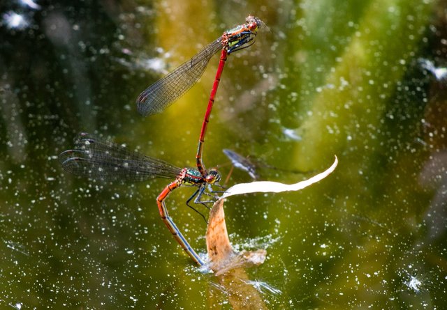 Foto: Georg Rinneberg
