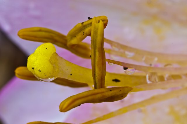 Foto: Georg Rinneberg