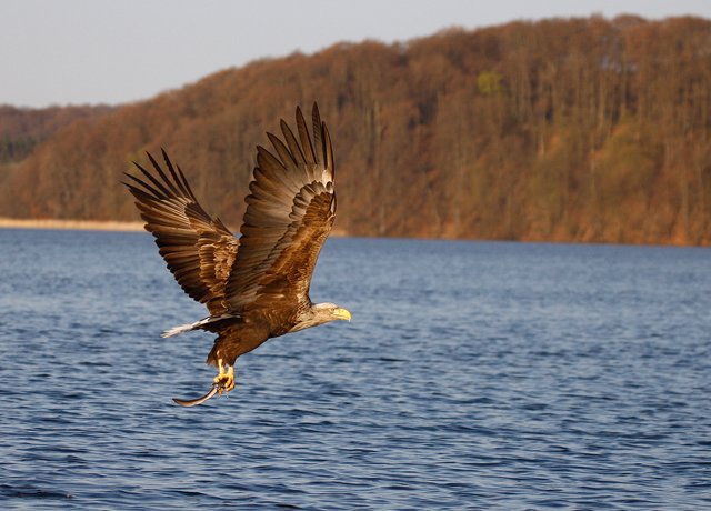 Foto: Georg Rinneberg