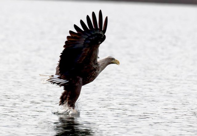 Foto: Georg Rinneberg