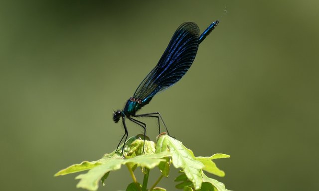 Foto: Georg Rinneberg