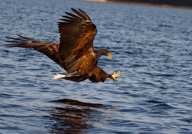 Foto: Georg Rinneberg