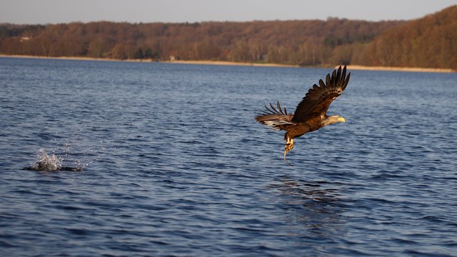 Foto: Georg Rinneberg