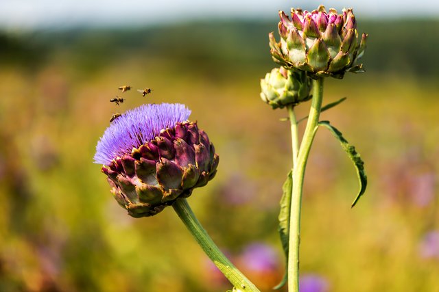 Foto: Georg Rinneberg