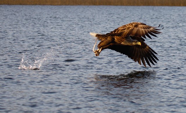 Foto: Georg Rinneberg