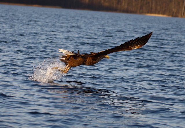 Foto: Georg Rinneberg