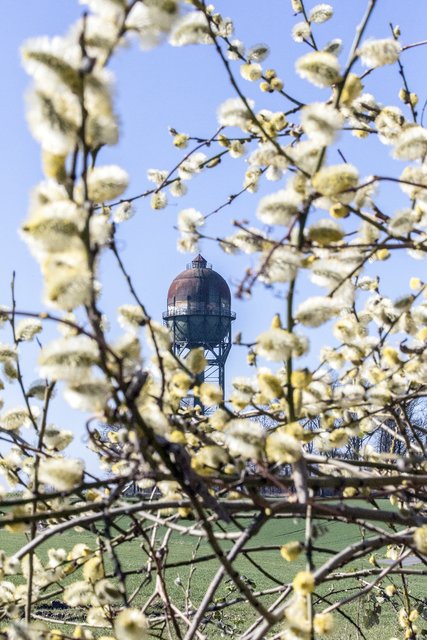 Frühling in Dortmund. Beim Foto des Greveler Wasserturms, auch als Lanstroper Ei bekannt, gelingt Georg Rinneberg die fotografische Verknüpfung seiner Begeisterung für die Industriekultur und die Natur. | Foto: Georg Rinneberg