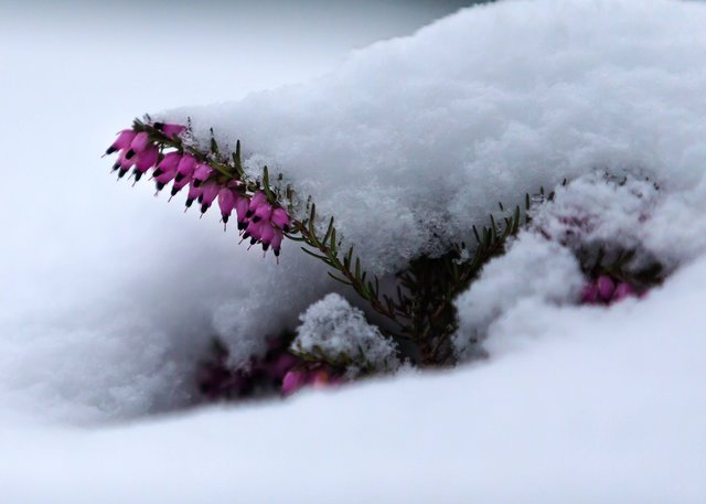 Foto: Georg Rinneberg