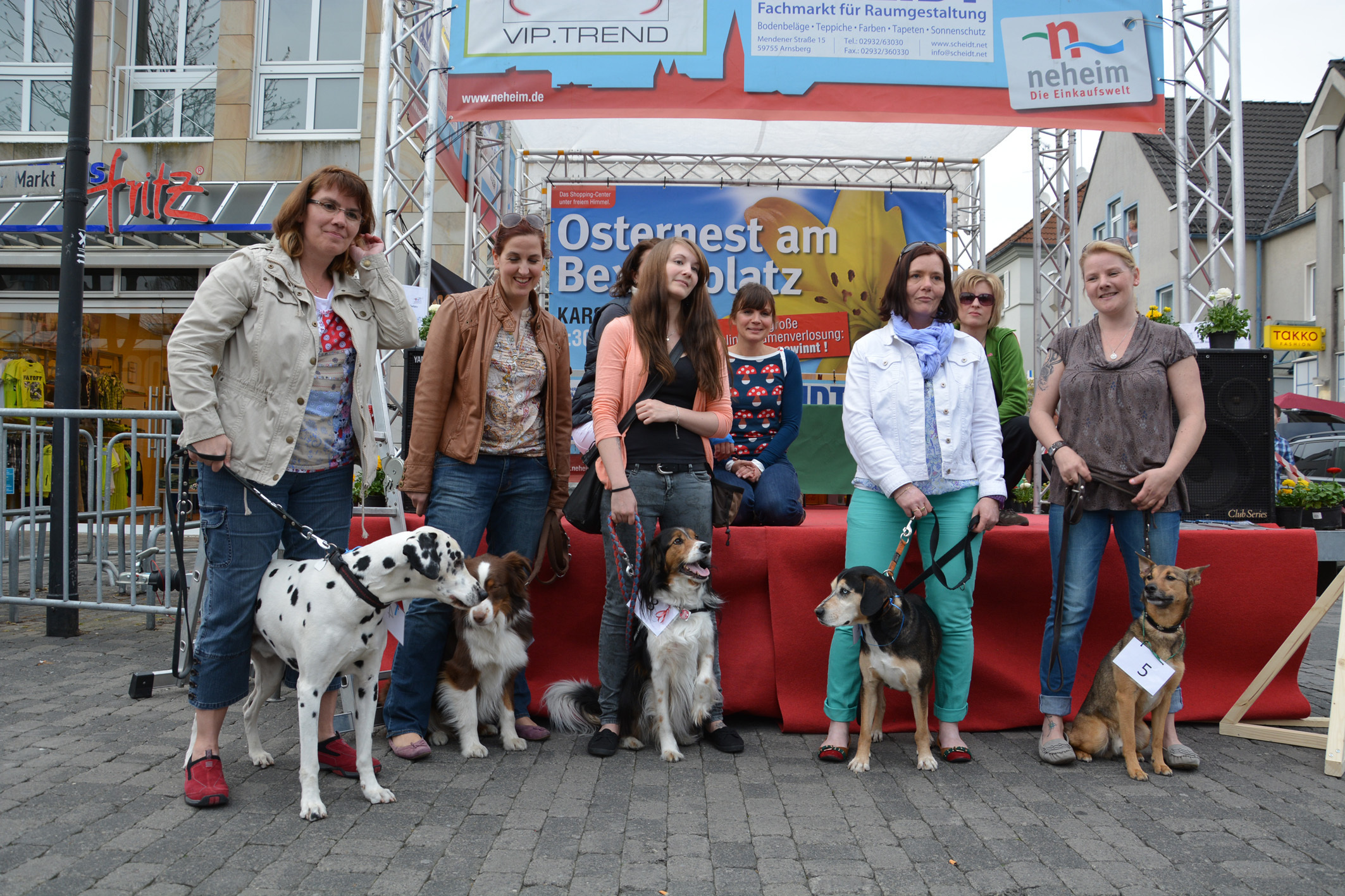 Das Finale im Wettbewerb um "Arnsbergs schönsten Hund" war eine Programmattraktion auf den 3. Neheimer Hundewelten. Fotos: Albrecht