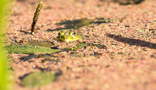 Foto: Georg Rinneberg