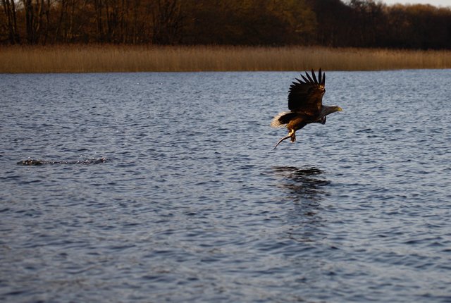 Foto: Georg Rinneberg