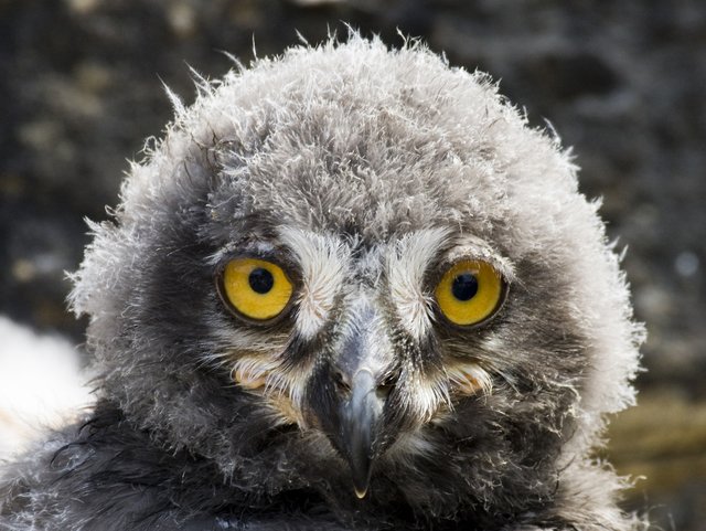 Foto: Georg Rinneberg