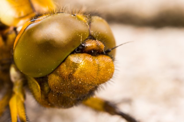 Foto: Georg Rinneberg