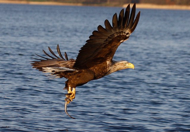 Foto: Georg Rinneberg