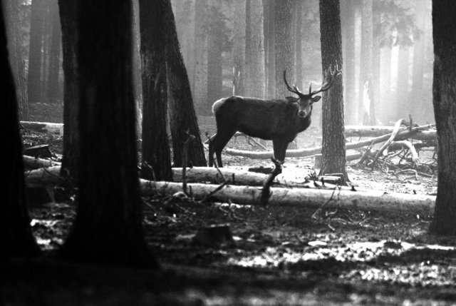 Foto: Georg Rinneberg