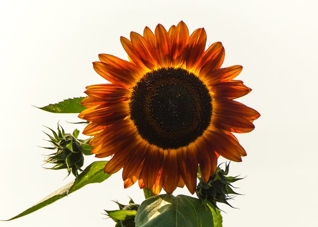 Foto: Georg Rinneberg