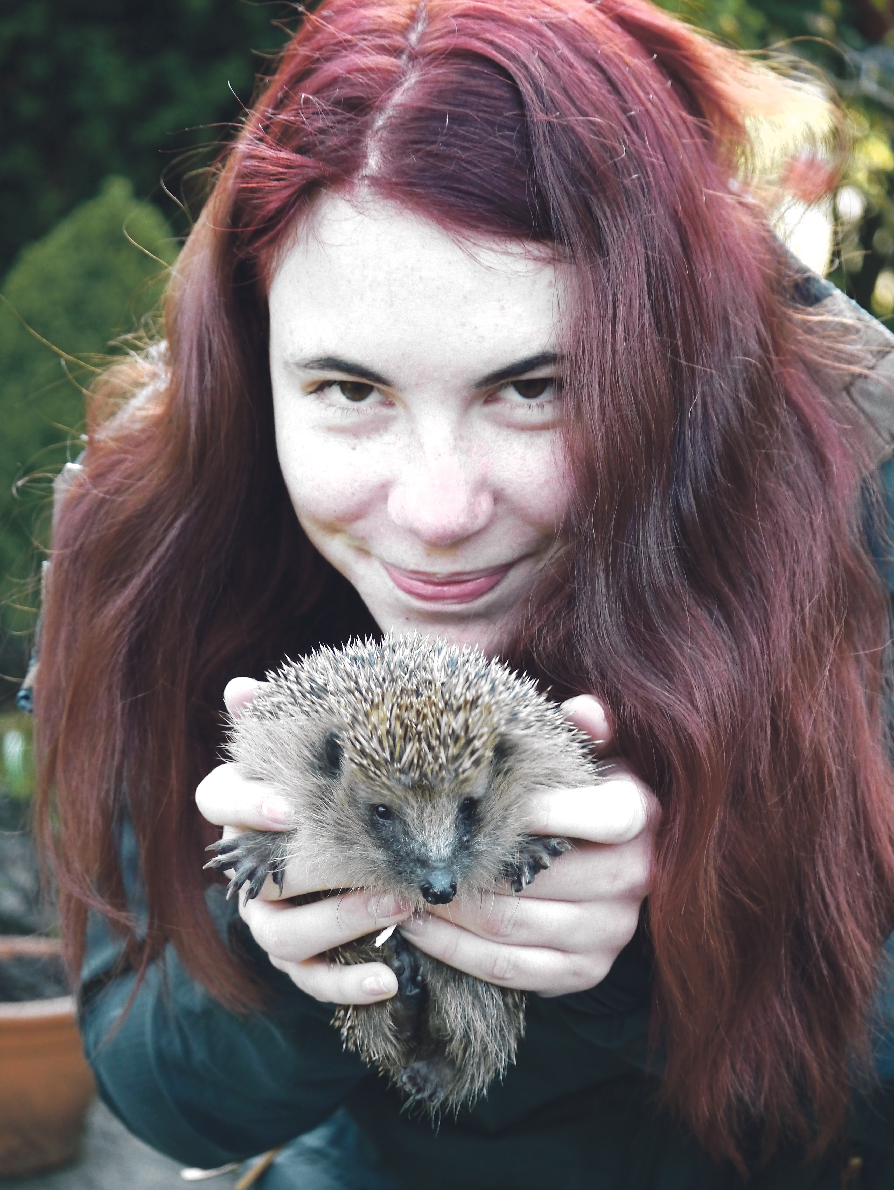 Meine Igeldame "Knirps" und ich