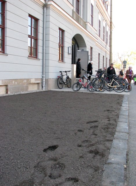 Hier nur ein kleiner Teil der Trampelei. Auf der anderen Seite des Eingangs ist es (war es?) schlimmer