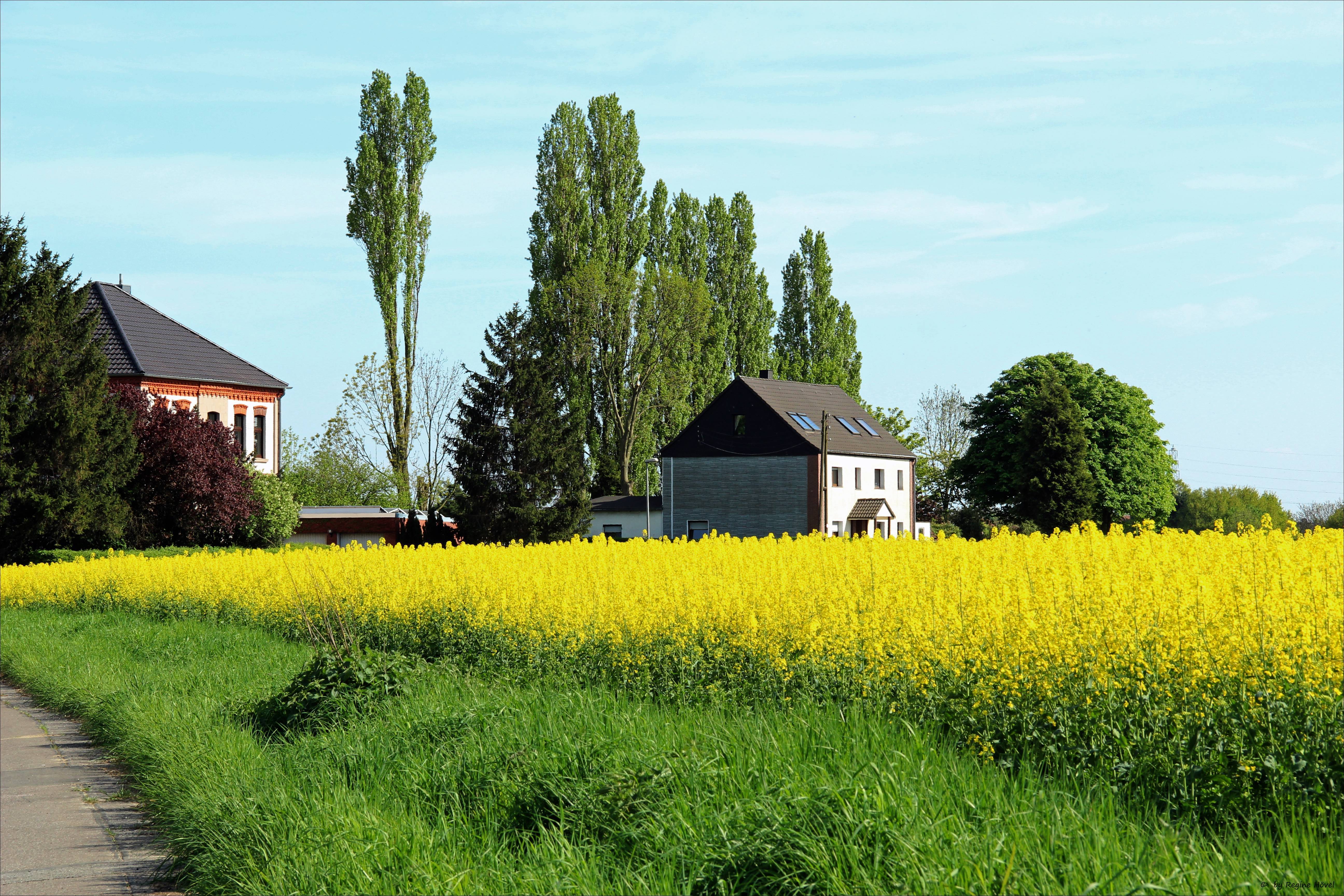 05.05.2013 - Auf der Kurfürstenstraße in Oberhausen-Holten
